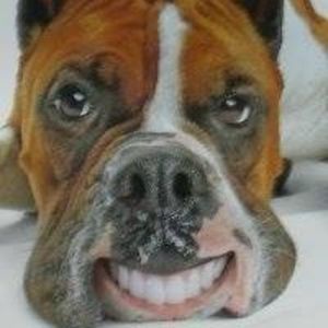 Meet your Posher, Joel